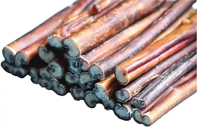 Downtown Pet Supply 12 In. Bully Stick Dog Chew Treats, 20 Ct. - Image 2