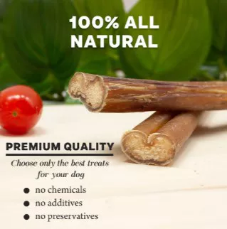 Downtown Pet Supply 12 In. Bully Stick Dog Chew Treats, 20 Ct. - Image 10