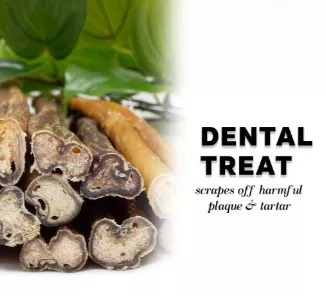 Downtown Pet Supply 12 In. Bully Stick Dog Chew Treats, 20 Ct. - Image 12