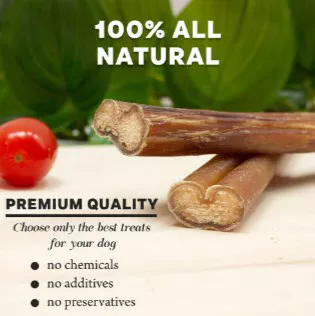 Downtown Pet Supply 12 In. Bully Stick Dog Chew Treats, 48 Ct. - Image 10