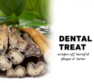 Downtown Pet Supply 12 In. Bully Stick Dog Chew Treats, 48 Ct. - Image 12