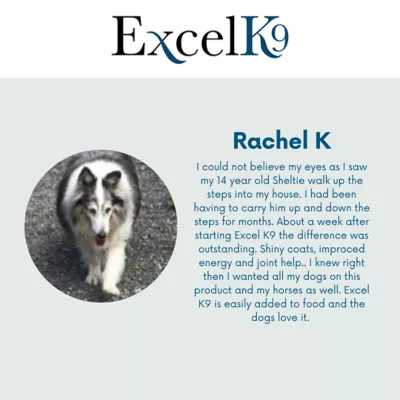 Excel Anti-Inflammatory K9 Hip And Joint Supplement For Dogs, 16 Oz. - Image 4