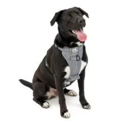 Kurgo Tru-Fit Smart Dog Harness Quick Release With Seatbelt Tether