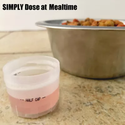 Liquid-Vet K9 Kidney And Bladder Support Chicken Flavor Formula, 32 Oz. - Image 4