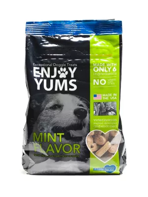 Enjoy Yums Mint Flavor Dog Biscuit Treats, 1 Lb.