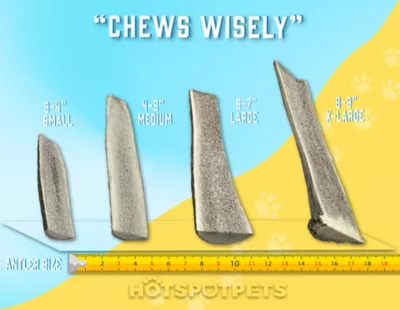 Hotspot Pets All Natural Small Split Elk Dog Chew Treats, 2 Ct. - Image 7