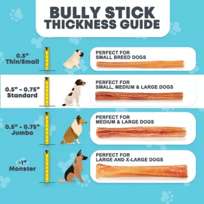 Hotspot Pets 6 In. All Natural Premium Bully Stick Dog Chew Treats, 10 Ct. - Image 8