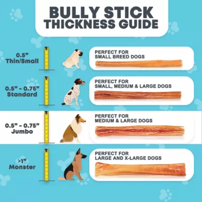 Hotspot Pets 6 In. All Natural Thick Jumbo Premium Bully Stick Dog Chew Treats, 5 Ct. - Image 5