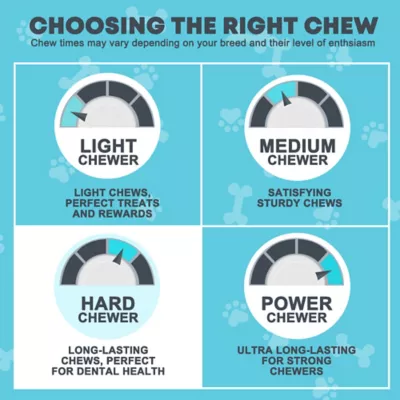 Hotspot Pets 6 In. All Natural Thick Jumbo Premium Bully Stick Dog Chew Treats, 10 Ct. - Image 4