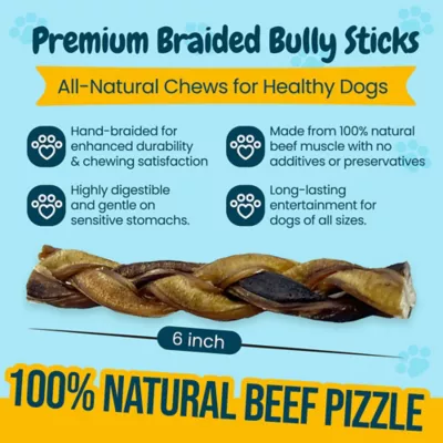 Hotspot Pets 6 In. All Natural Braided Premium Bully Stick Dog Chew Treats, 6 Ct. - Image 3