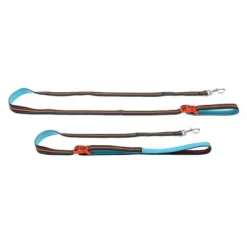 DOOG Beethoven Neoprene Clip-It Hands Free Dog Lead, Blue With Orange Neon Trim Leash