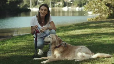 DOOG Rin Tin Tin Reflective Neoprene Dog Lead, Green With Pink Neon Trim Leash - Image 6