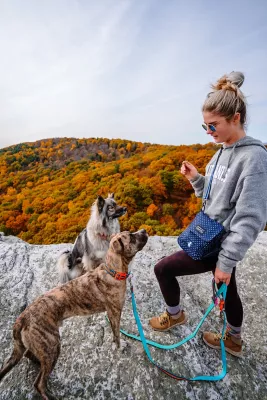 DOOG Pongo Neoprene 'Clip-It' Hands-Free Dog Lead, Black With White Spots Leash - Image 4