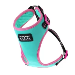 DOOG Rin Tin Tin Teal Green With Pink Trim Neoflex Neoprene Dog Harness