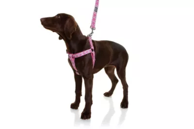 DOOG Toto Pink With Black Stars Step-In Dog Harness - Image 3