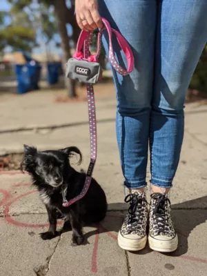 DOOG Stella Neoprene Walkie Dog Walking Pouch With Tidy Bags Pick-up Poop Bags, Navy With White Polka Dots - Image 5