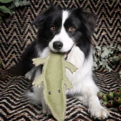 Outback Tails Joey Aussie Desert Dog Premium Dog Chew Toy From Doog - Image 5