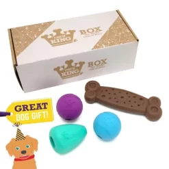 Chew King Dog Toy Box