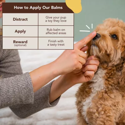 Natural Dog Company Snout Soother Dog Nose Balm Tin, 4 Oz. - Image 4