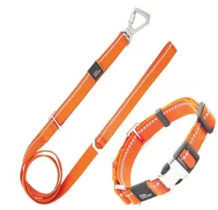 Pet Life Advent Outdoor Series 3M Reflective 2-in-1 Durable Martingale Training Dog Leash And Collar