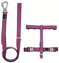 Pet Life Escapade Outdoor Series 2-in-1 Convertible Dog Leash And Harness