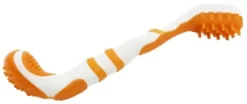 Pet Life Denta-Brush TPR Durable Tooth Brush And Dog Toy