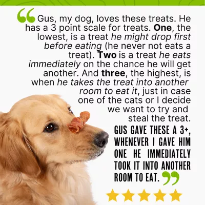 Waggin' Train Chicken Jerky Curls Dog Treats, 16 Oz. - Image 7