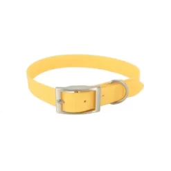 MuttNation Fueled By Miranda Lambert Waterproof Dog Collar