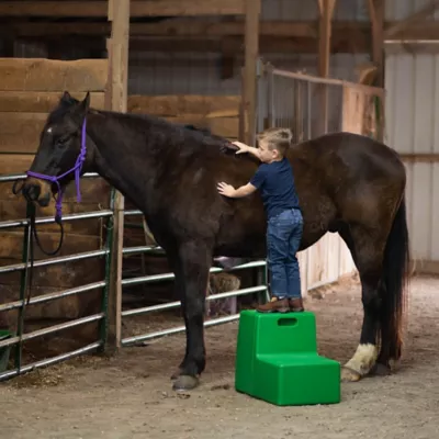 Century 2-Step Heavy-Duty Mounting Block, Grooming Block, Green - Image 3