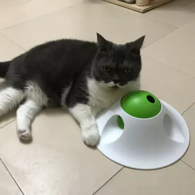 L'chic Snack Ball Puzzle Pet Toy, Educational Puzzle And Feeder For Both Dogs And Cats, Green/White - Image 8