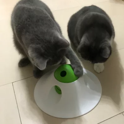 L'chic Snack Ball Puzzle Pet Toy, Educational Puzzle And Feeder For Both Dogs And Cats, Green/White - Image 9