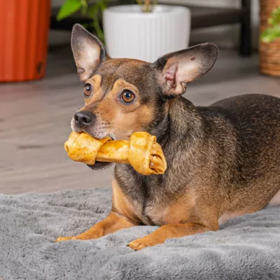 Pet Factory Made In USA Beefhide Small Assorted (12 Bones, 13 Chip Rolls), Assorted Flavors (Beef & Chicken) - 4-6", 25 Count - Image 2