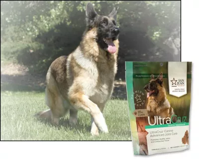 UltraCruz Canine Advanced Joint Supplement For Dogs, 60 Count - Image 4