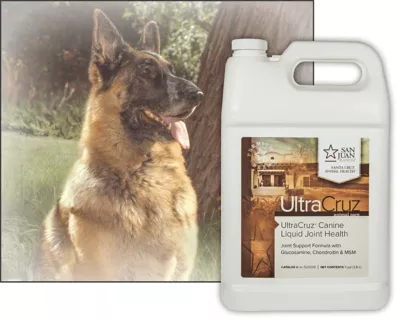 UltraCruz Canine Liquid Joint Health Supplement For Dogs, 1 Gal. Refill - Image 3