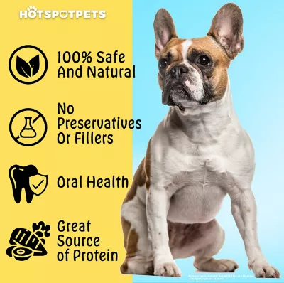 Hotspot Pets Rawhide Alternative Chicken Flavored Collagen Rolls Dog Chew Treats, 2 Ct. - Image 7