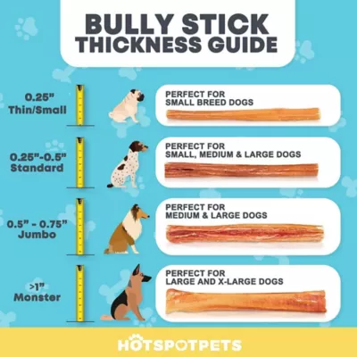 Hotspot Pets Super Slim Premium Bully Sticks Dog Chew Treats, 12 Ct. - Image 5