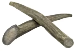 Hotspot Pets All Natural Small Whole Deer Antler Dog Chew Treats, 2 Ct.