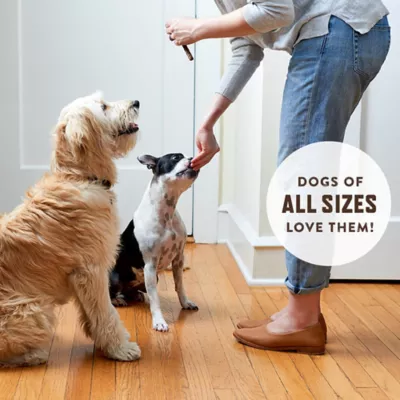 Rocco & Roxie Supply Co Beef Jerky Sticks Dog Treats- 1 Lb. Resealable Pouch - Image 4