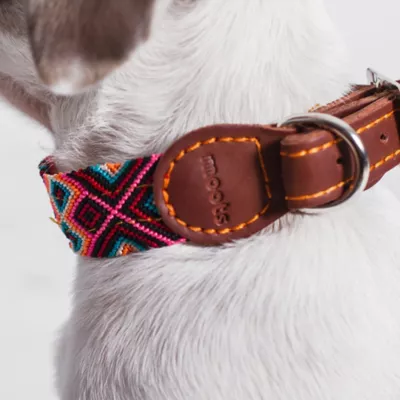 Moots Root Hand-Knitted Leather Pet Collar, Small - Image 2