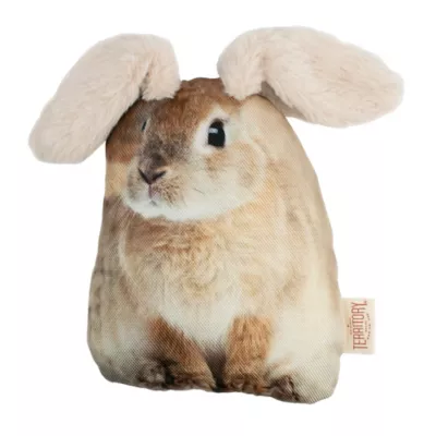 Territory Floppy Rabbit Dog Toy - Image 2