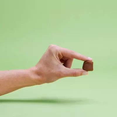 Greenies Skin & Coat Food Soft Chews With Omega 3 Fatty Acids 40 Ct. Chicken Flavor For Adult Dogs Of All Sizes - Image 10