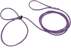Piggy Poo And Crew Adjustable Mini Pig Harness And Leash, Purple