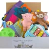Piggy Poo And Crew Pig Box - Pet Box - Bundle Of Toys Gift Box