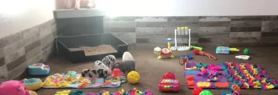 Piggy Poo And Crew Rooting Snuffle Mat Combo Pk., 2 Count - Image 9