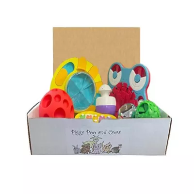 Piggy Poo And Crew Pet Game Box - Mini Pig Box - Dog Box - Gift Box