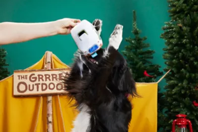 New! BARK Hairstream Trailer Dog Toy - Image 3