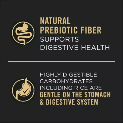 Purina Pro Plan Sensitive Skin And Stomach Dog Food Pate Salmon And Rice And Lamb And Oat Meal Wet Dog Food Variety Pack - Image 4