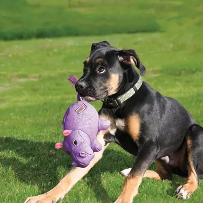 New! KONG Phatz Rhino Dog Toy - Image 2