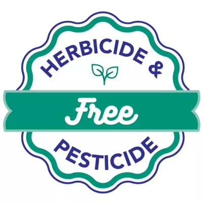 Pet Releaf Daily Releaf 200 CBD USDA Organic Full Spectrum CBD Oil NASC Certified For Calming Knee Hip Joint & Digestive - Image 5