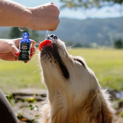 Pet Releaf Daily Releaf 500 CBD USDA Organic Full Spectrum CBD Oil NASC Certified For Calming Knee Hip Joint & Digestive - Image 8